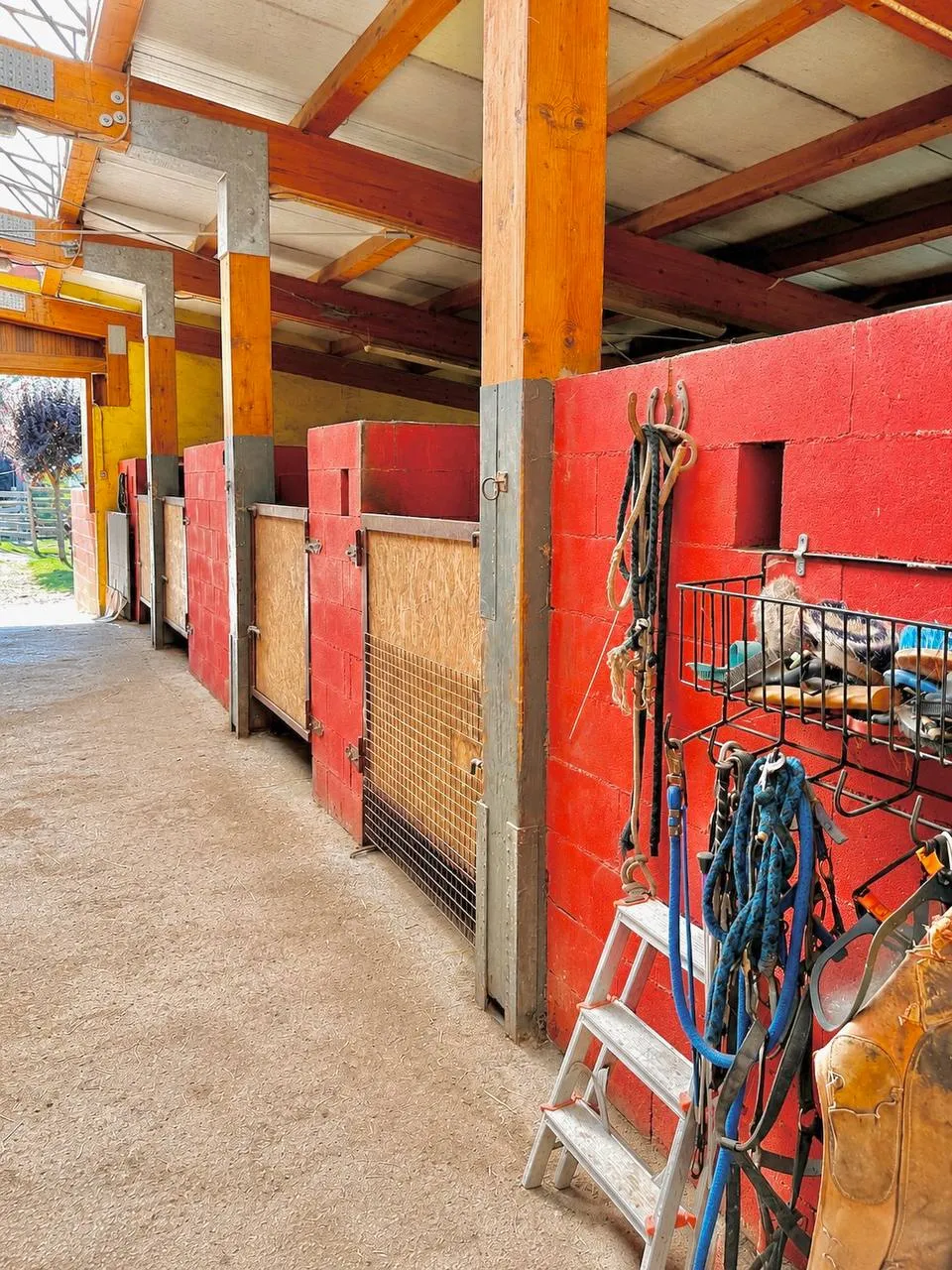 Il corridoio della scuderia con i box interni in muratura rossa, le porte in legno e i finimenti appesi alla parete
